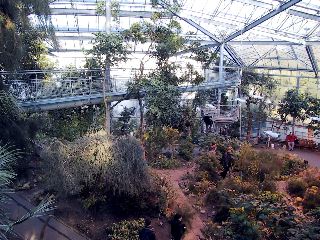 Hortus Botanicus, Amsterdam